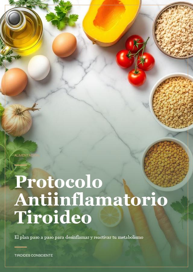 Protocolo